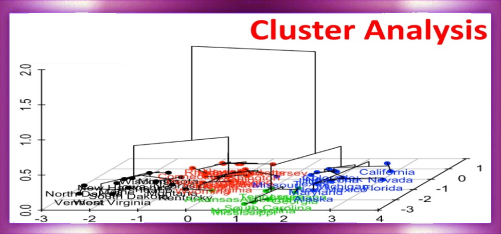Cluster Analysis